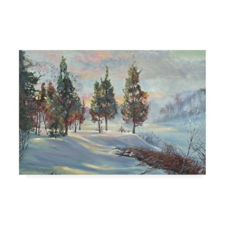 David Lloyd Glover 'Snowy Winter Dawn' Canvas Art,30x47